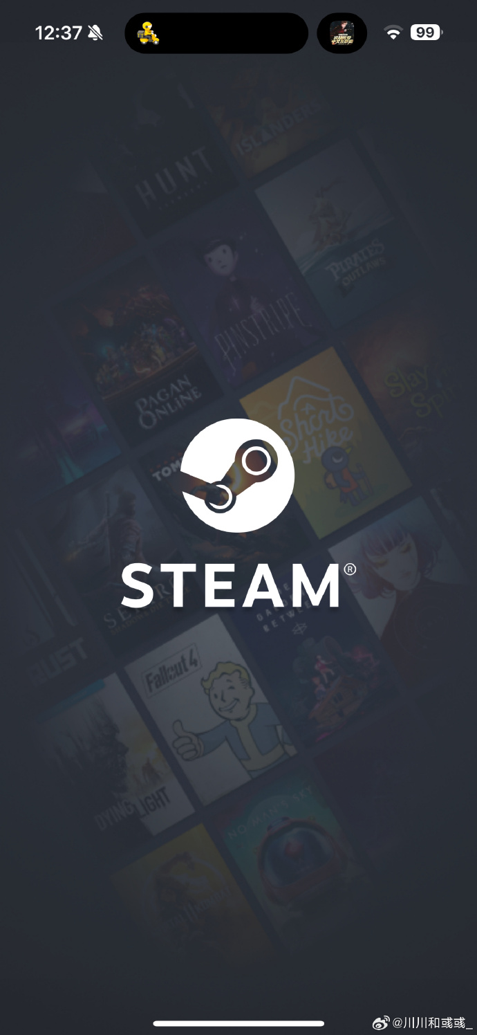 steam客户端手机令牌steam官网手机令牌下载-第1张图片-太平洋在线下载