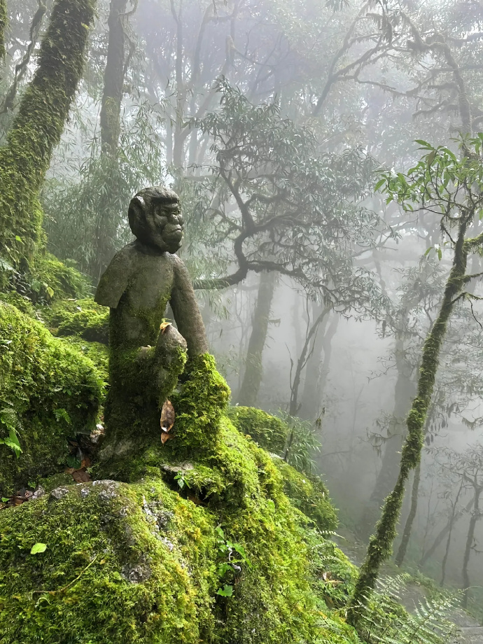 比比旅行客户端旅游电子商务项目计划书-第1张图片-太平洋在线下载