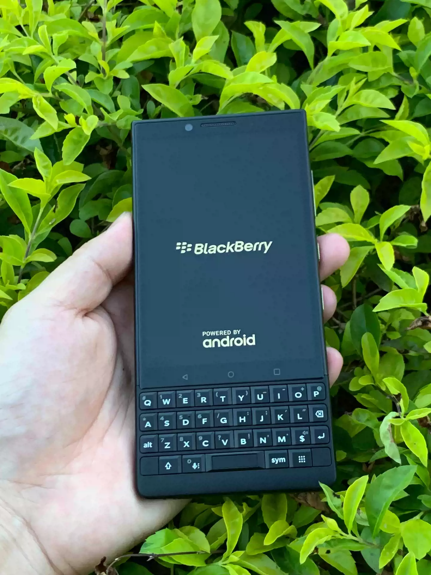 audiokey2苹果版audio2score下载-第2张图片-太平洋在线下载