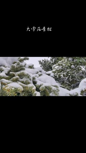云杉视频苹果版行星视频ios版本